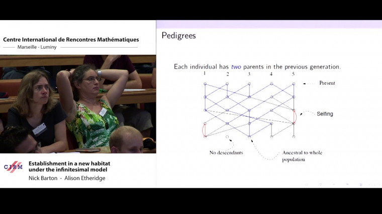 Establishment in a new habitat under the infinitesimal model