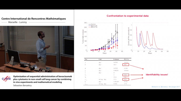 Optimization of sequential administration of bevacizumab plus cytotoxics in non-small cell lung cancer by combining in vivo experiments and mathematical modeling