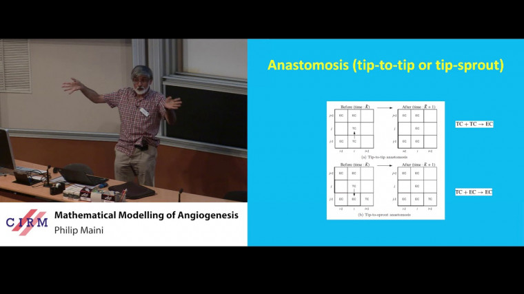 Mathematical modelling of angiogenesis