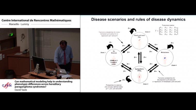 Can mathematical modeling help in understanding phenotypic differences across hereditary paraganglioma syndromes?