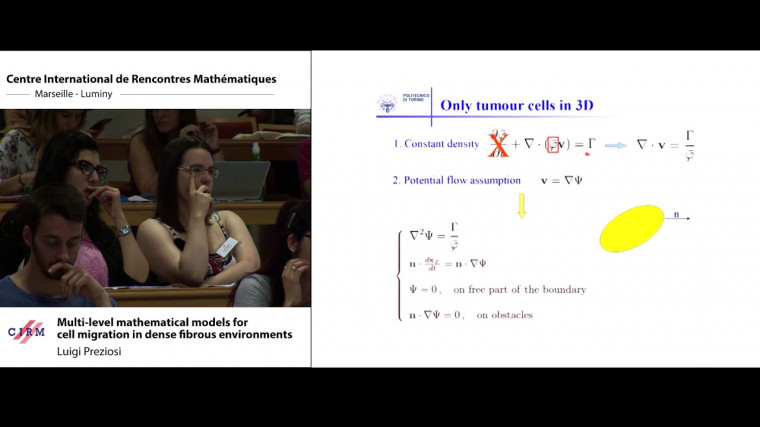Multi-level mathematical models for cell migration in dense fibrous environments