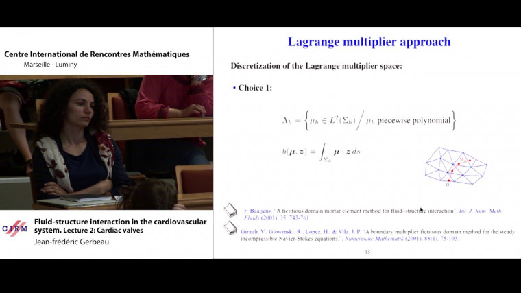 Fluid-structure interaction in the cardiovascular system. Lecture 2: Cardiac valves