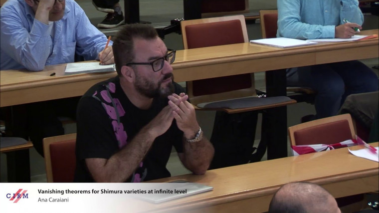 Vanishing theorems for Shimura varieties at infinite level