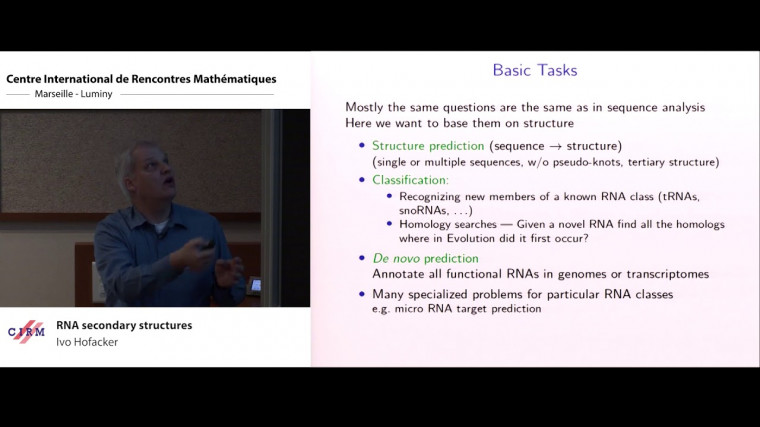 RNA secondary structures