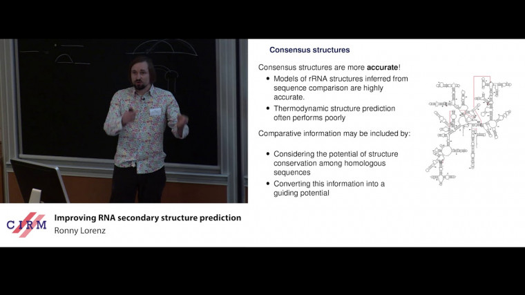 Improving RNA secondary structure prediction