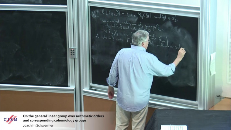 On the general linear group over arithmetic orders and corresponding cohomology groups