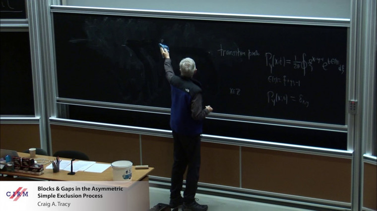 Blocks & gaps in the asymmetric simple exclusion process