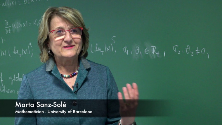 Interview at CIRM: Marta Sanz-Solé