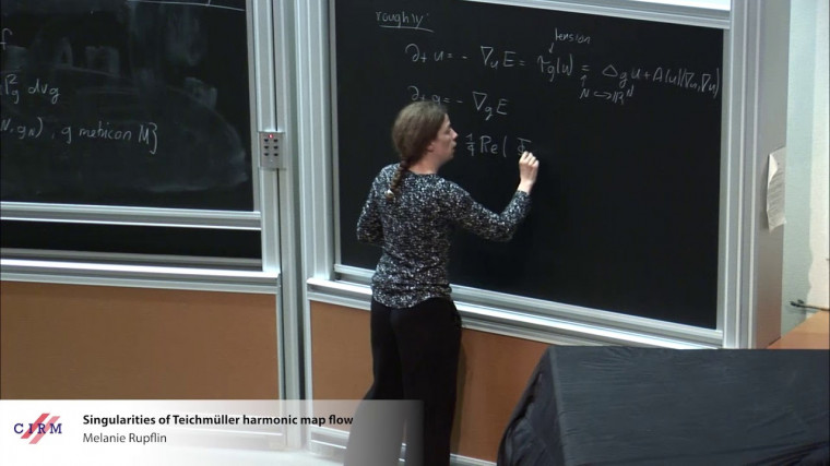 Singularities of Teichmüller harmonic map flow
