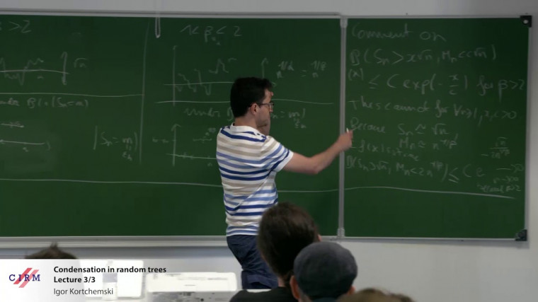 Condensation in random trees 3/3