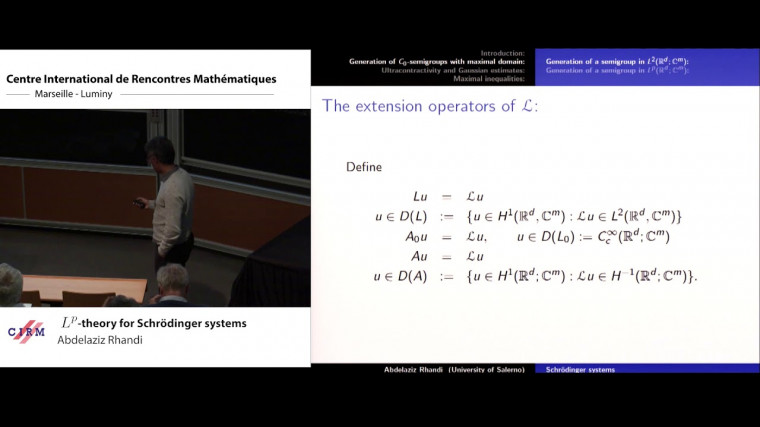 $L^p$-theory for Schrödinger systems 