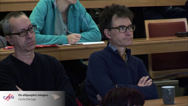 On ellipsephic integers