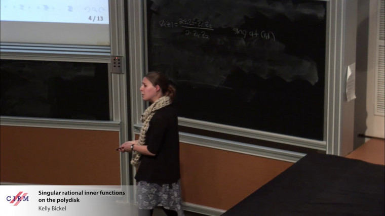 Singular rational inner functions on the polydisk