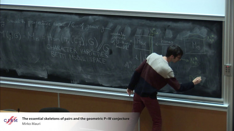 The essential skeletons of pairs and the geometric P=W conjecture