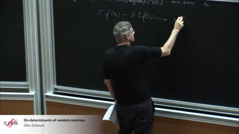 On determinants of random matrices