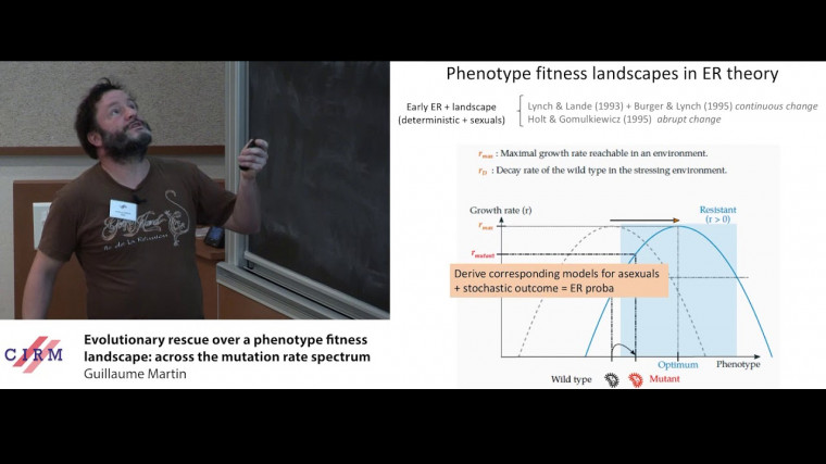 Evolutionary rescue over a phenotype fitness landscape: across the mutation rate spectrum