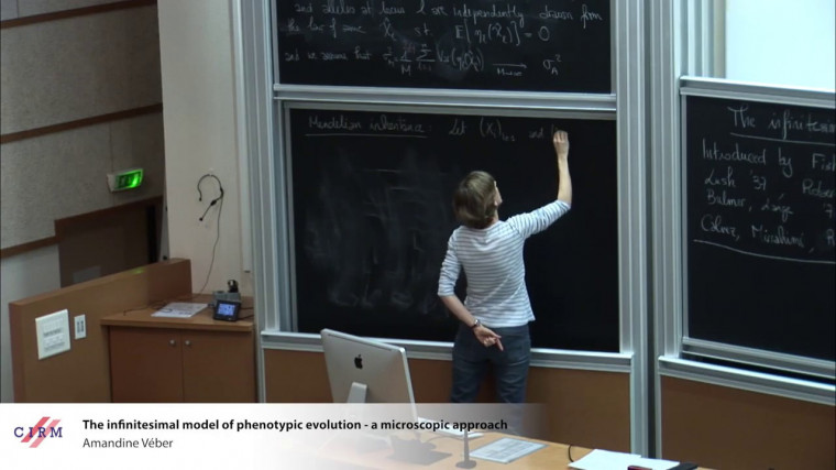 The infinitesimal model of phenotypic evolution - a microscopic approach