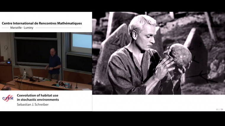 Coevolution of habitat use in stochastic environments