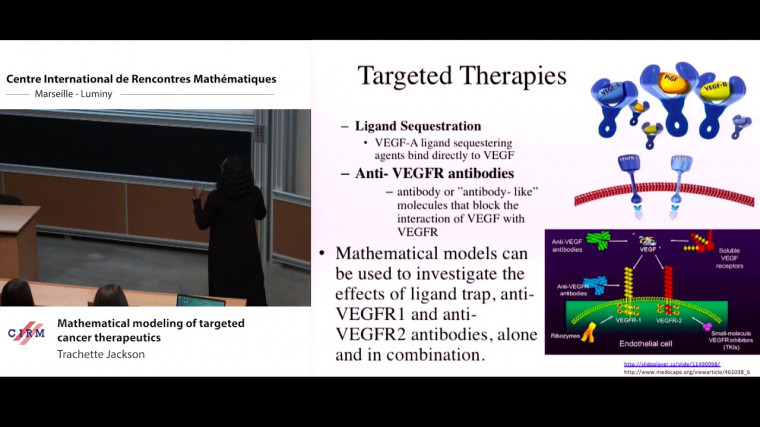 Mathematical modeling of targeted cancer therapeutics
