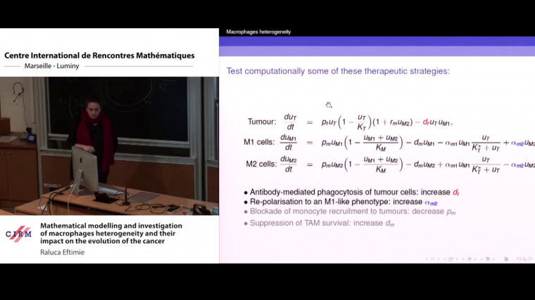 Mathematical modelling and investigation of macrophages heterogeneity and their impact on the evolution of the cancer