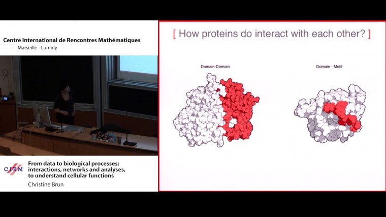 From data to biological processes: interactions, networks and analyses, to understand cellular functions