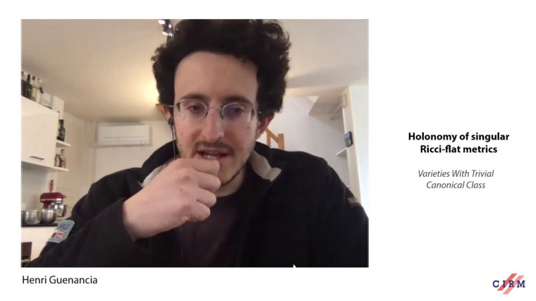 Holonomy of singular Ricci-flat metrics