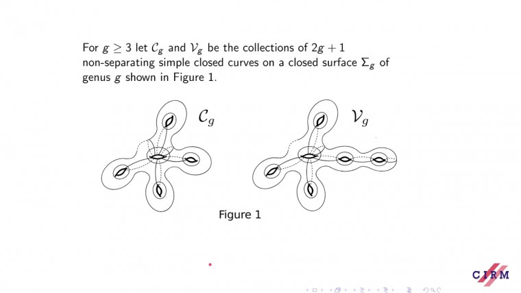 Spin mapping class groups and curve graphs