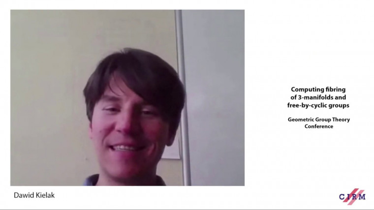 Computing fibring of 3-manifolds and free-by-cyclic groups