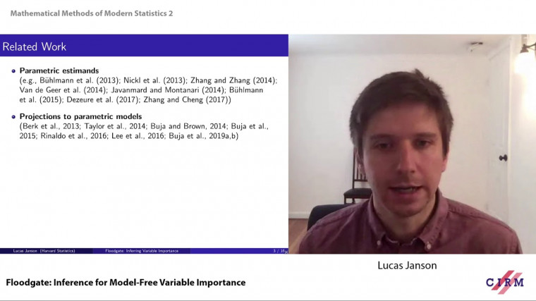 Floodgate: inference for model-free variable importance