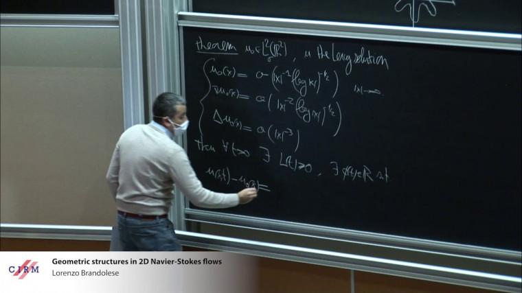 Geometric structures in 2D Navier-Stokes flows