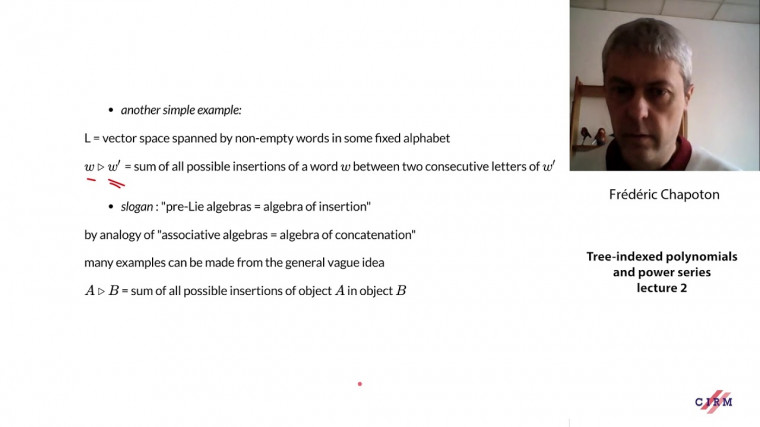 Tree-indexed polynomials and power series - lecture 2