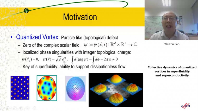 Collective dynamics of quantized vortices in superfluidity and superconductivity