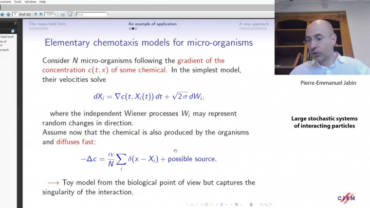 Large stochastic systems of interacting particles