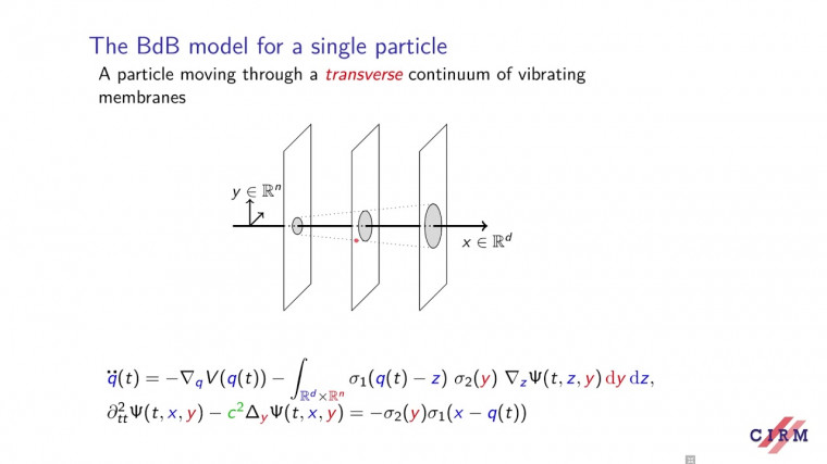 Classical and quantum particles coupled to a vibrational environment