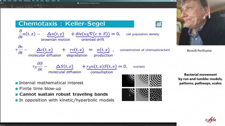Bacterial movement by run and tumble: models, patterns, pathways, scales
