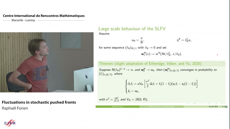 Fluctuations in stochastic pushed fronts