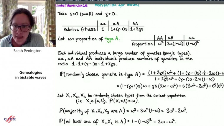 Genealogies in bistable waves