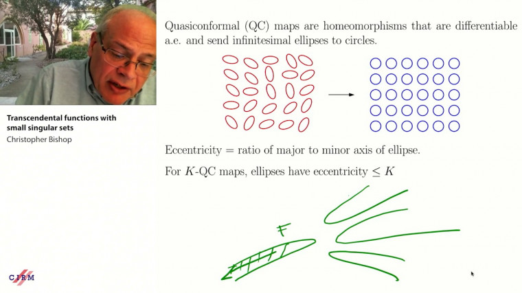 Transcendental functions with small singular sets