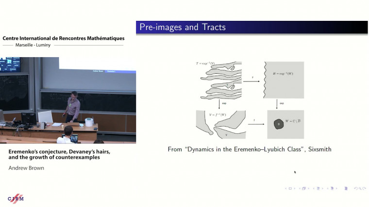Eremenko's conjecture, Devaney's hairs, and the growth of counterexamples