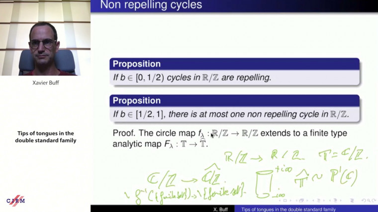 Tips of tongues in the double standard family