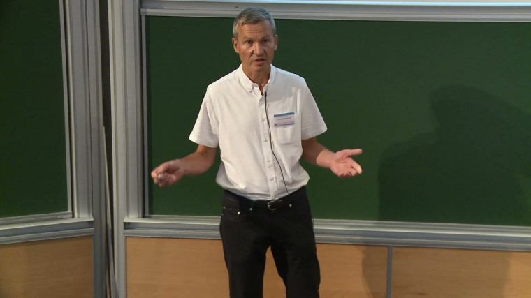 1/2 Diagrammatic Expansions and Renormalization in Quantum Physics