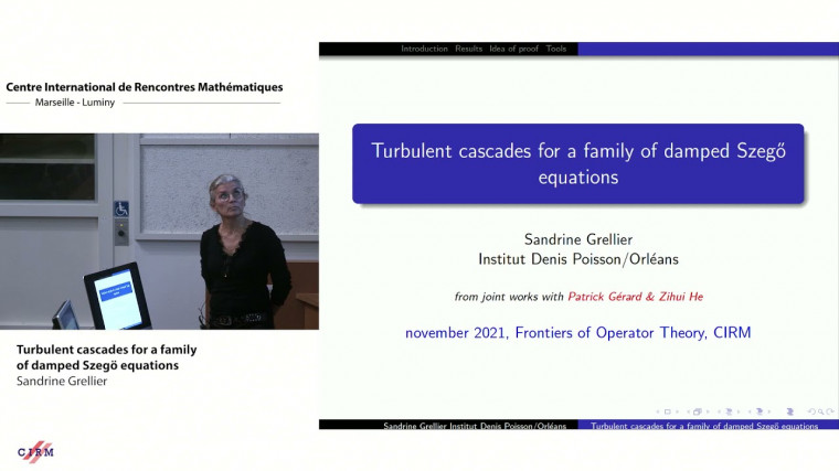 Turbulent cascades for a family of damped Szegö equations