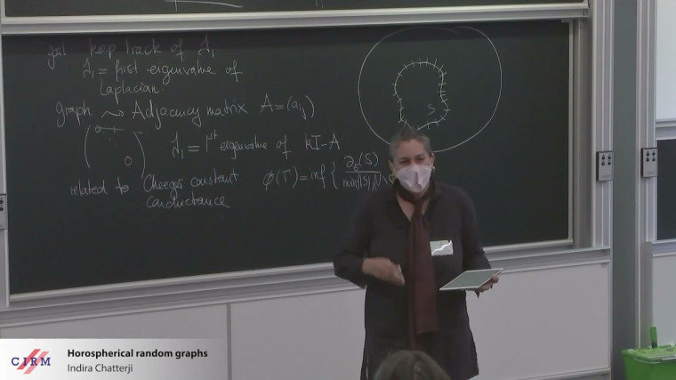 Horospherical random graphs
