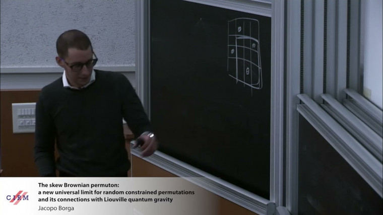 The skew Brownian permuton: a new universal limit for random constrained permutations and its connections with Liouville quantum gravity