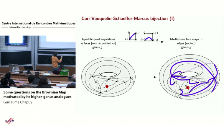 Some questions on the Brownian Map motivated by its higher-genus analogues