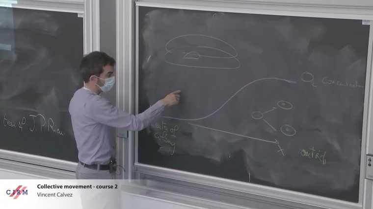 Collective movement - course 2