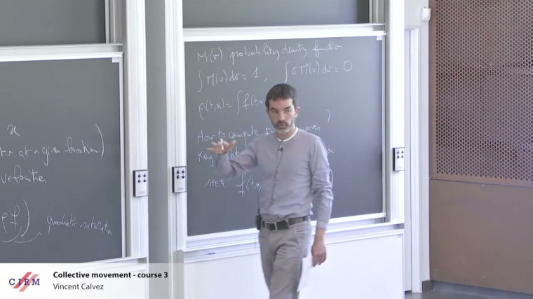 Collective movement - course 3