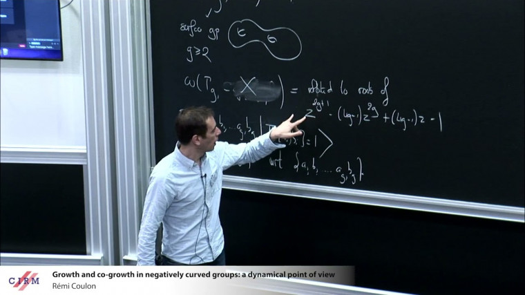 Growth and co-growth in negatively curved groups: a dynamical point of view (part 1)
