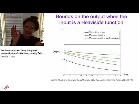 On the response of lossy two-phase composites subject to time-varying fields