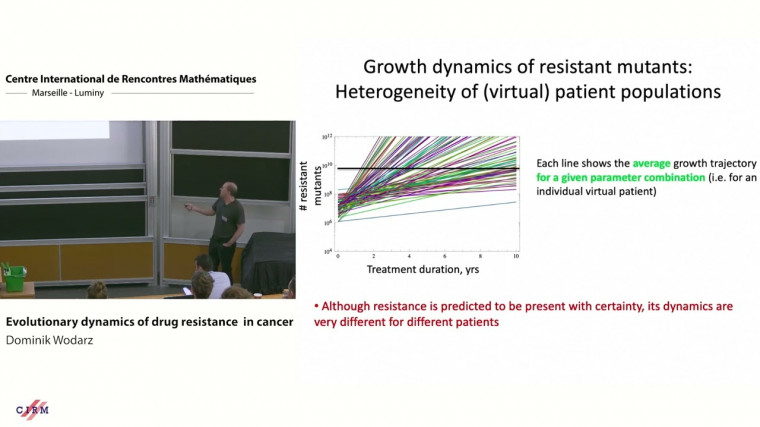 Evolutionary dynamics of drug resistance in cancer